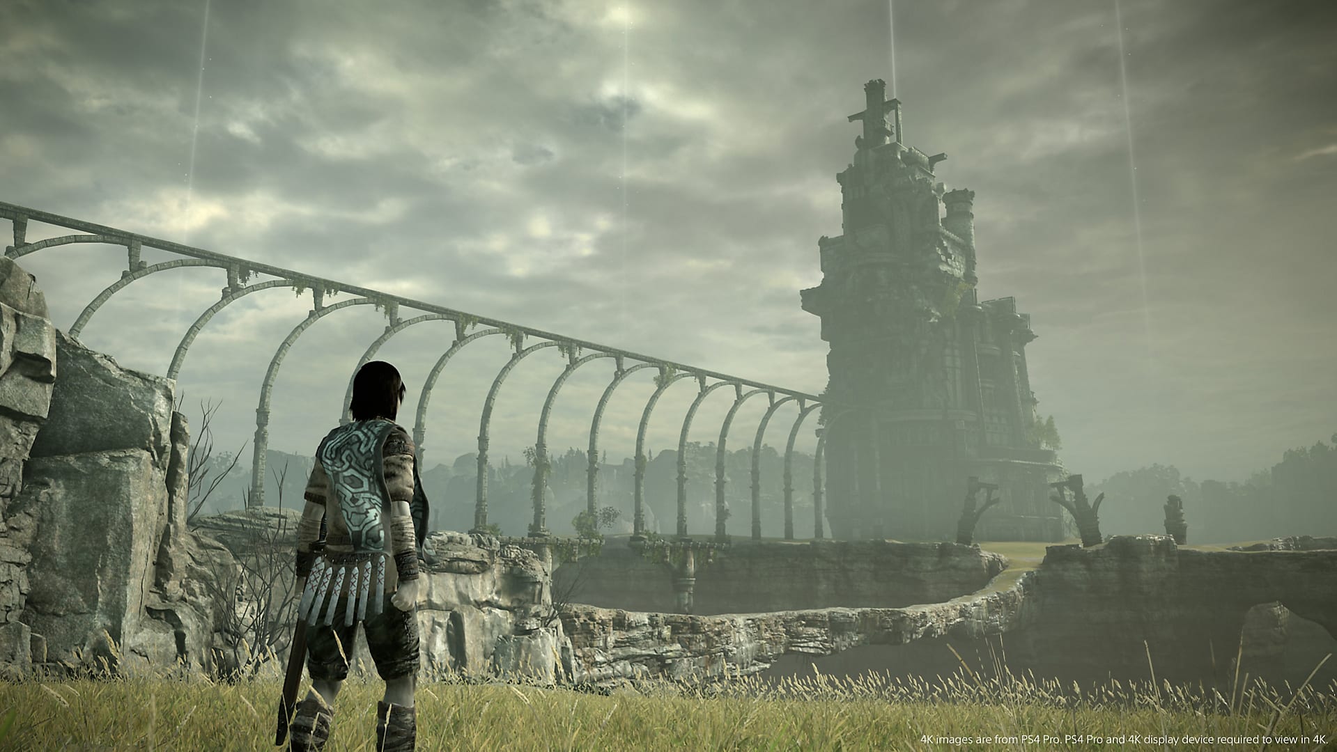 Shadow of the Colossus remake has a nice perk on PS4 Pro: 60 fps - Polygon